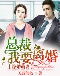 隐婚总裁要二胎全文免费阅读