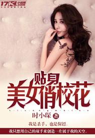 贴身校花电视剧