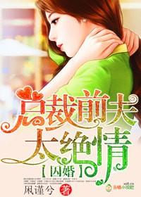 总裁前夫缠上门