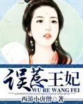 误惹王爷之王妃要休夫
