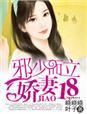 邪少而立娇妻十八全集免费阅读无弹窗