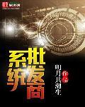 批发系统的