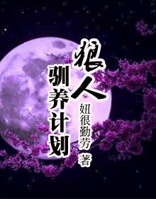 驯狼 tigirys