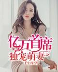 亿万首席的独宠新娘