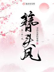 簪头凤简介
