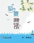 军妻诱人