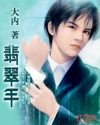 翡翠手镯种水等级划分标准图片