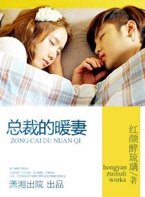 总裁的暖婚新妻在线观看