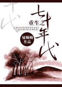 重生之七十年代心机女