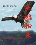 大鹏新片首映获赞