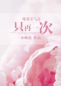 珠光宝气之只再一次TXT 小帅迷