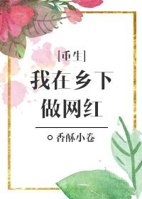 我在乡下做网红by