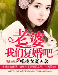 老婆我们复婚吧章小君佟振宇