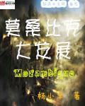 莫桑比克投资