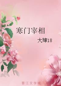 寒门宰相笔趣阁无防盗