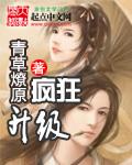 疯狂升级系统易天云