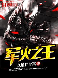 军火之王全文免费阅读无弹窗