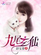 九尾玄猫代表什么