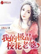 我的极品校花老婆刘飞免费阅读