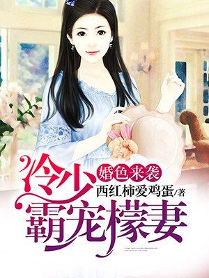 婚色来袭:冷少霸宠檬妻