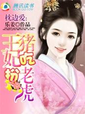 枕边爱:王妃扮猪吃老虎