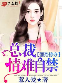 强势掠夺:总裁,情难自禁